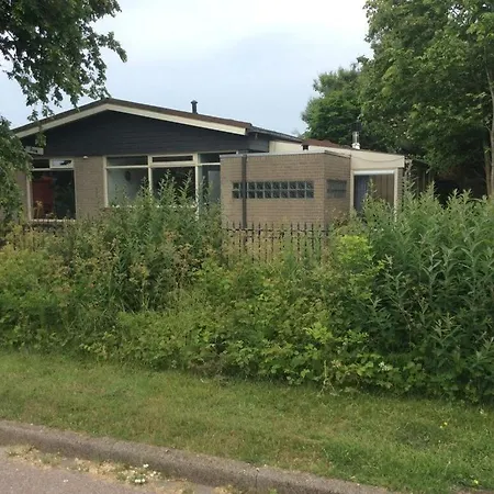 Attractive In * Julianadorp