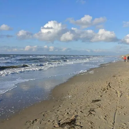 Attractive In Apartman