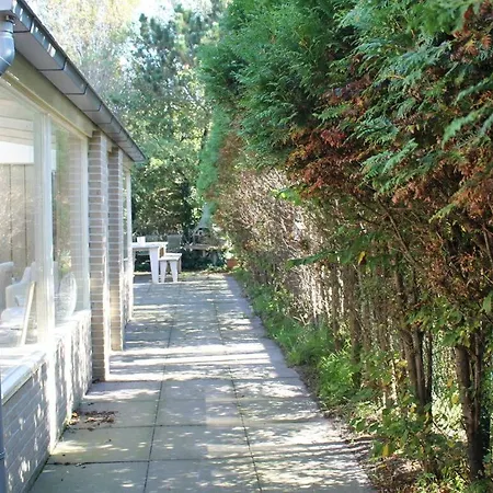 Attractive In * Julianadorp