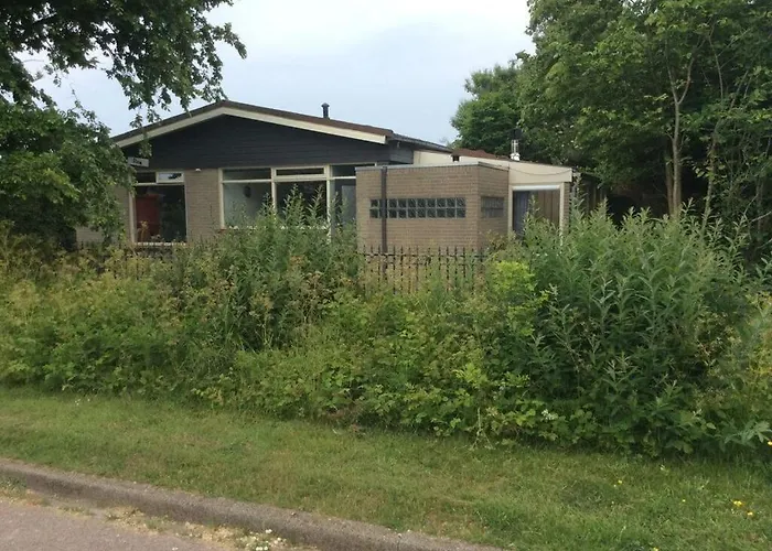 Attractive In * Julianadorp