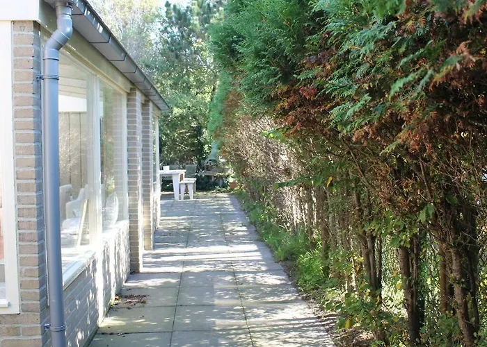 Attractive In * Julianadorp